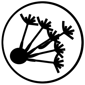 DIPY Logo