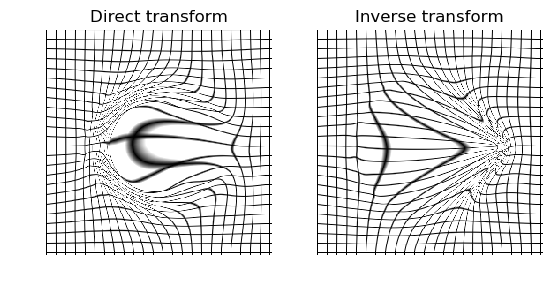 ../../_images/diffeomorphic_map.png